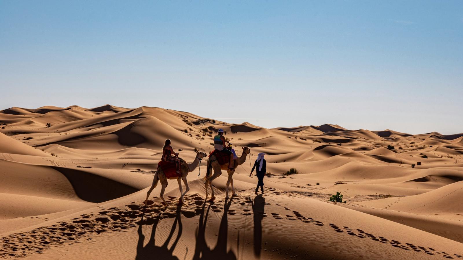 Camel caravan crossing the golden Erg Chebbi dunes at sunset — best Morocco tours by Morocco Desert Hub