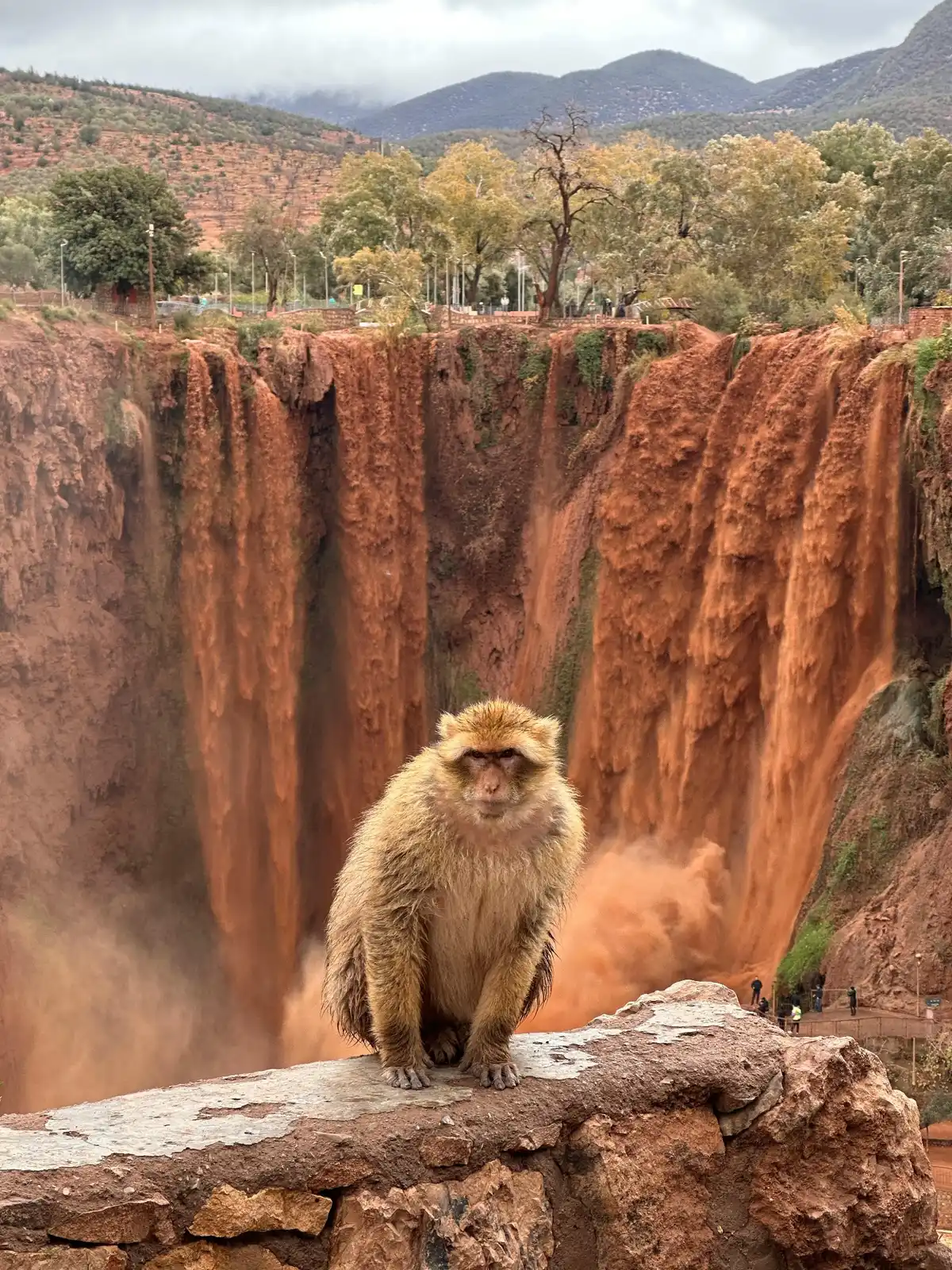 ouzoud