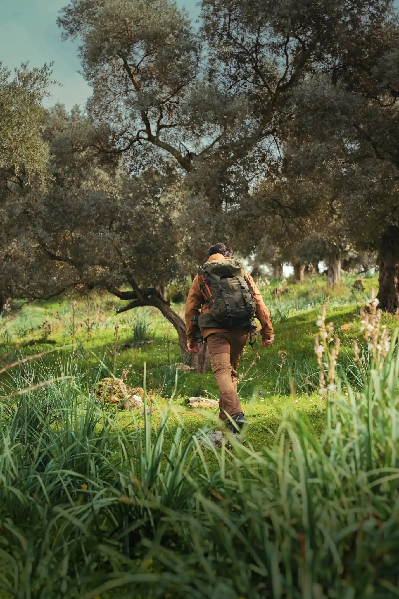 trekking experience in atlas Morocco