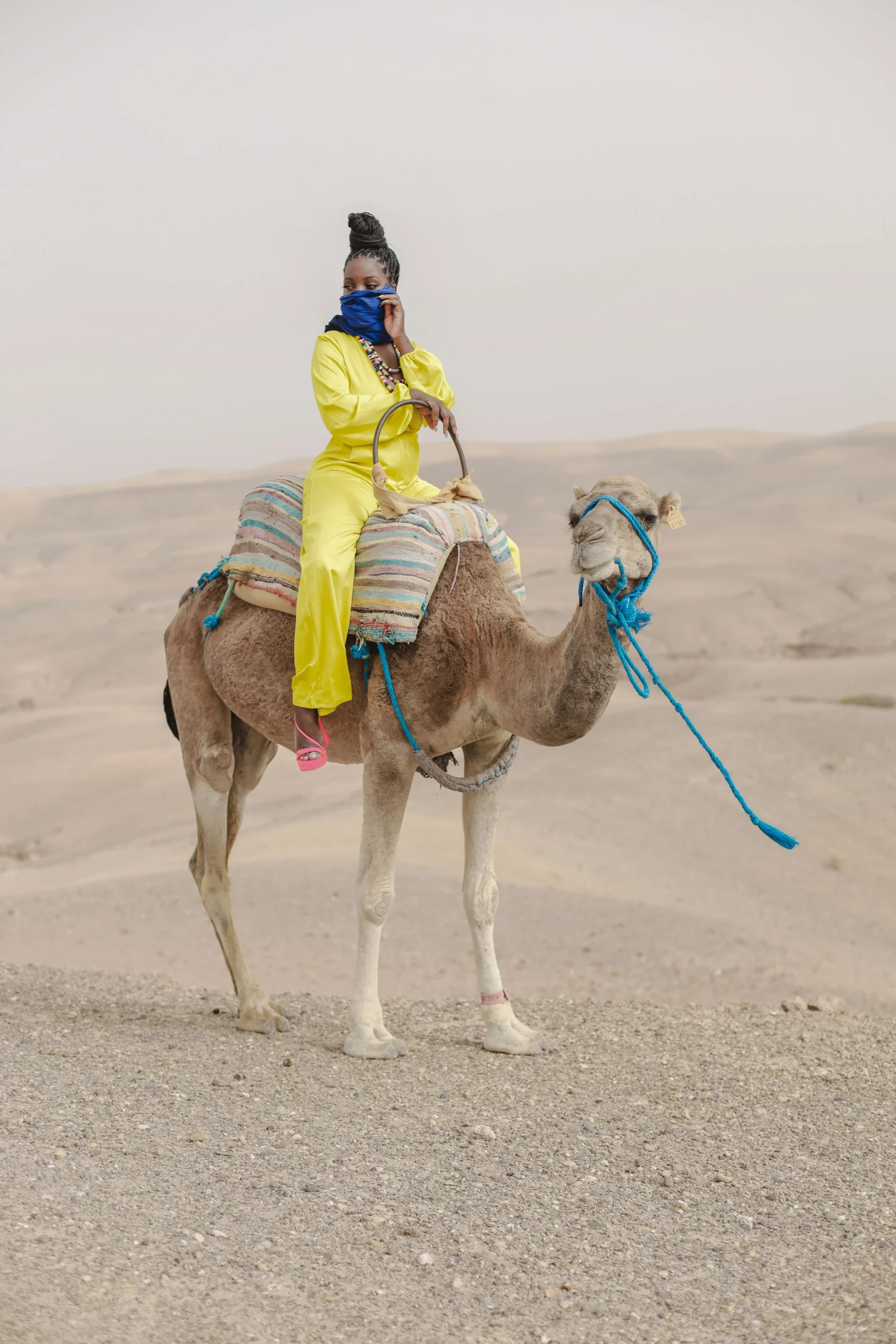 Camel caravan crossing the golden dunes of Merzouga— best Morocco tours