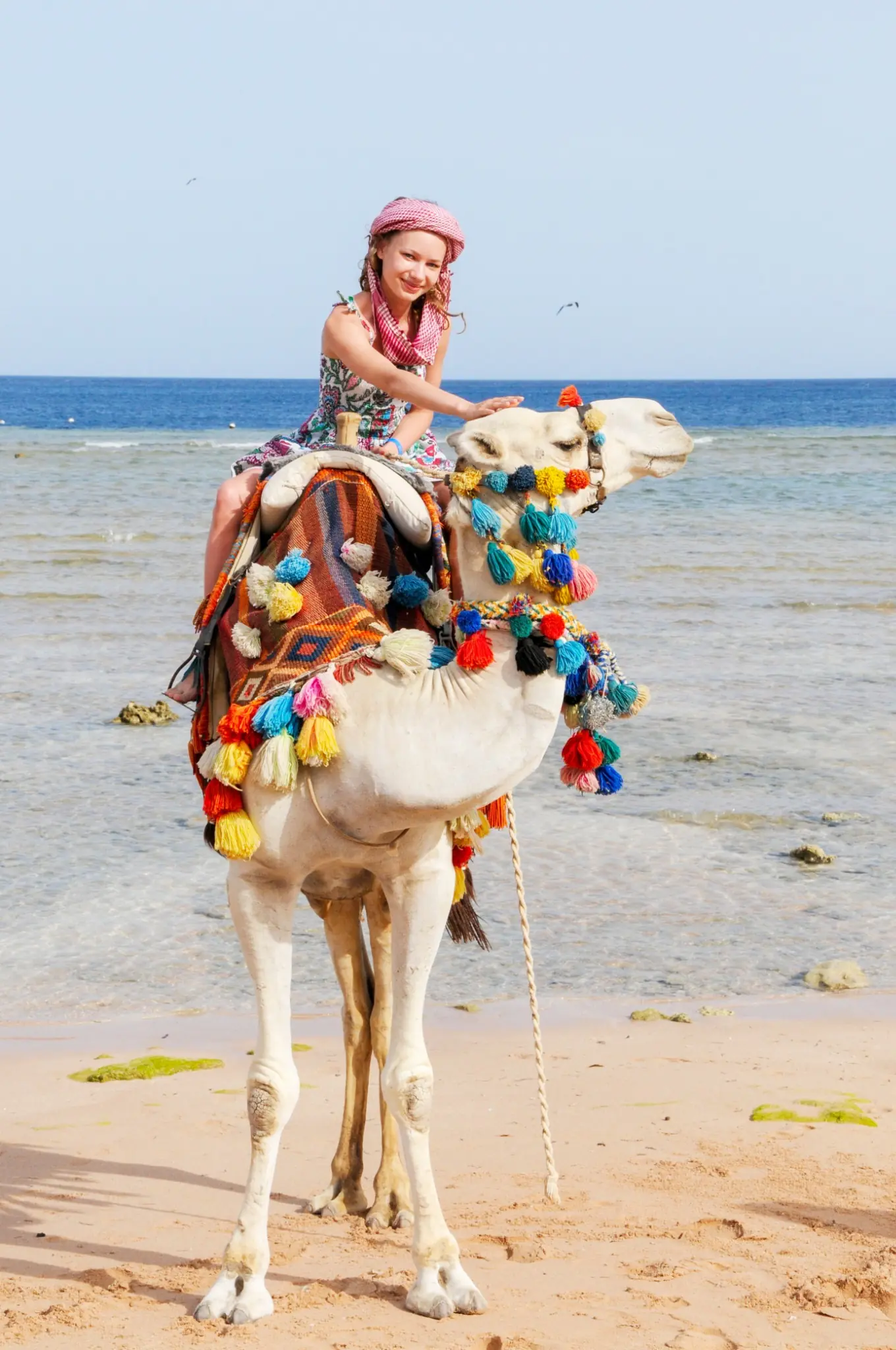 Camel trek into the Erg Chebbi dunes on a desert tour from Essaouira