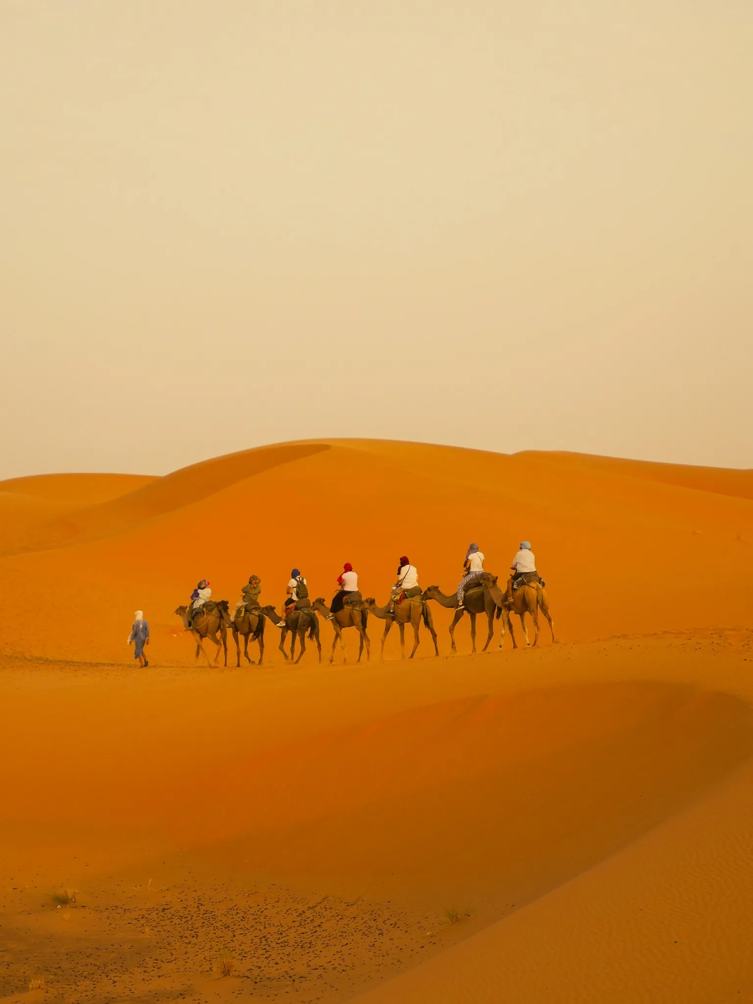 Casablanca tours — Camel trekking experience in Merzouga
