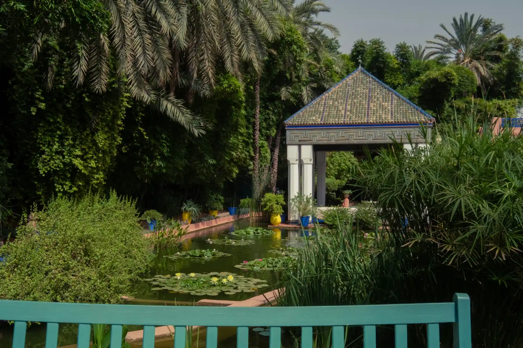 Marrakesh tours —The Gardens: Majorelle, Le Jardin Secret, and More