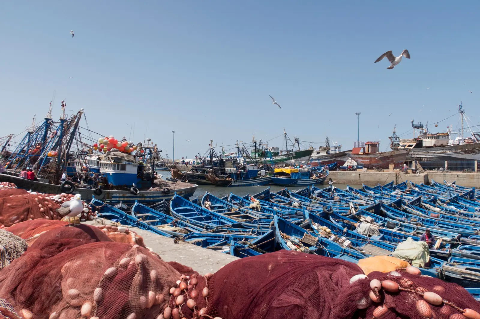 All Morocco Tours —blue fishing boats below the ocean ramparts