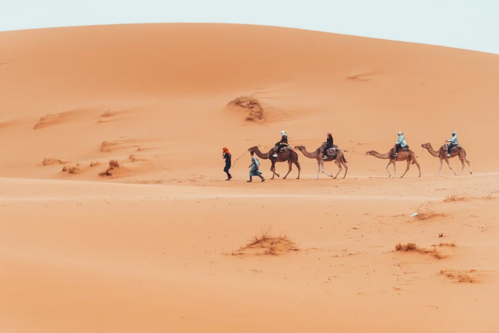 Camel ride at sunset in the rocky Agafay Desert near Marrakech
