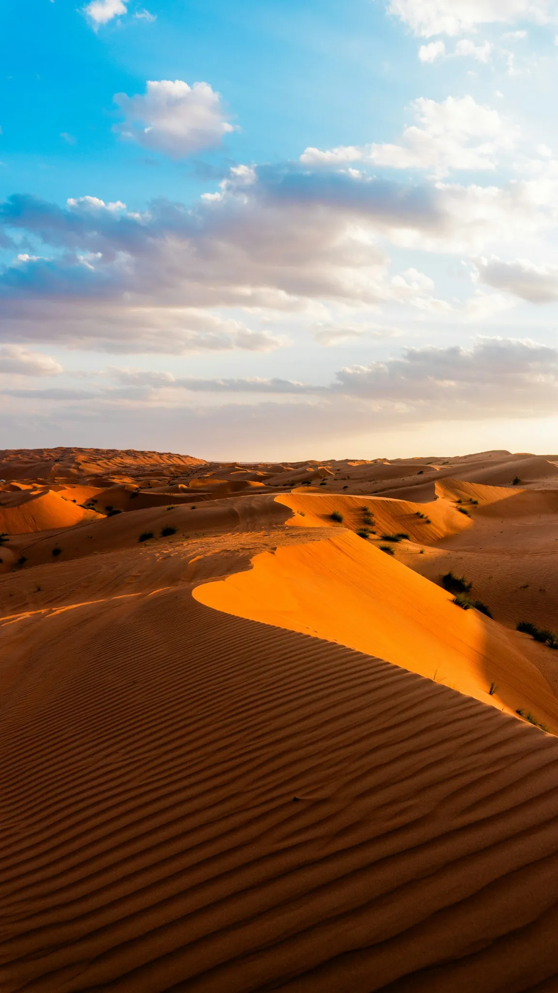 Camel trekking adventure in the Zagora Desert Morocco