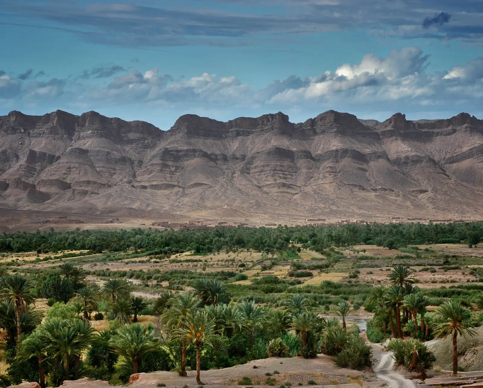 Endless palm groves of the Draa Valley on the road to Zagora