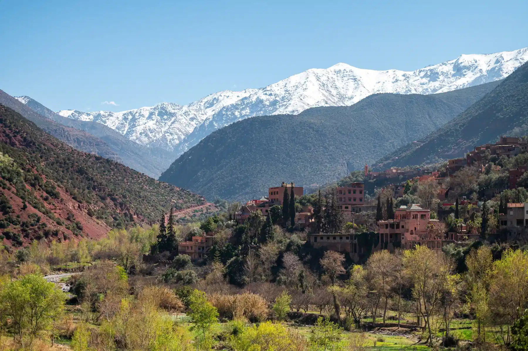 Freshly poured Moroccan mint tea served on a scenic terrace overlooking Imlil Atlas Mountains.