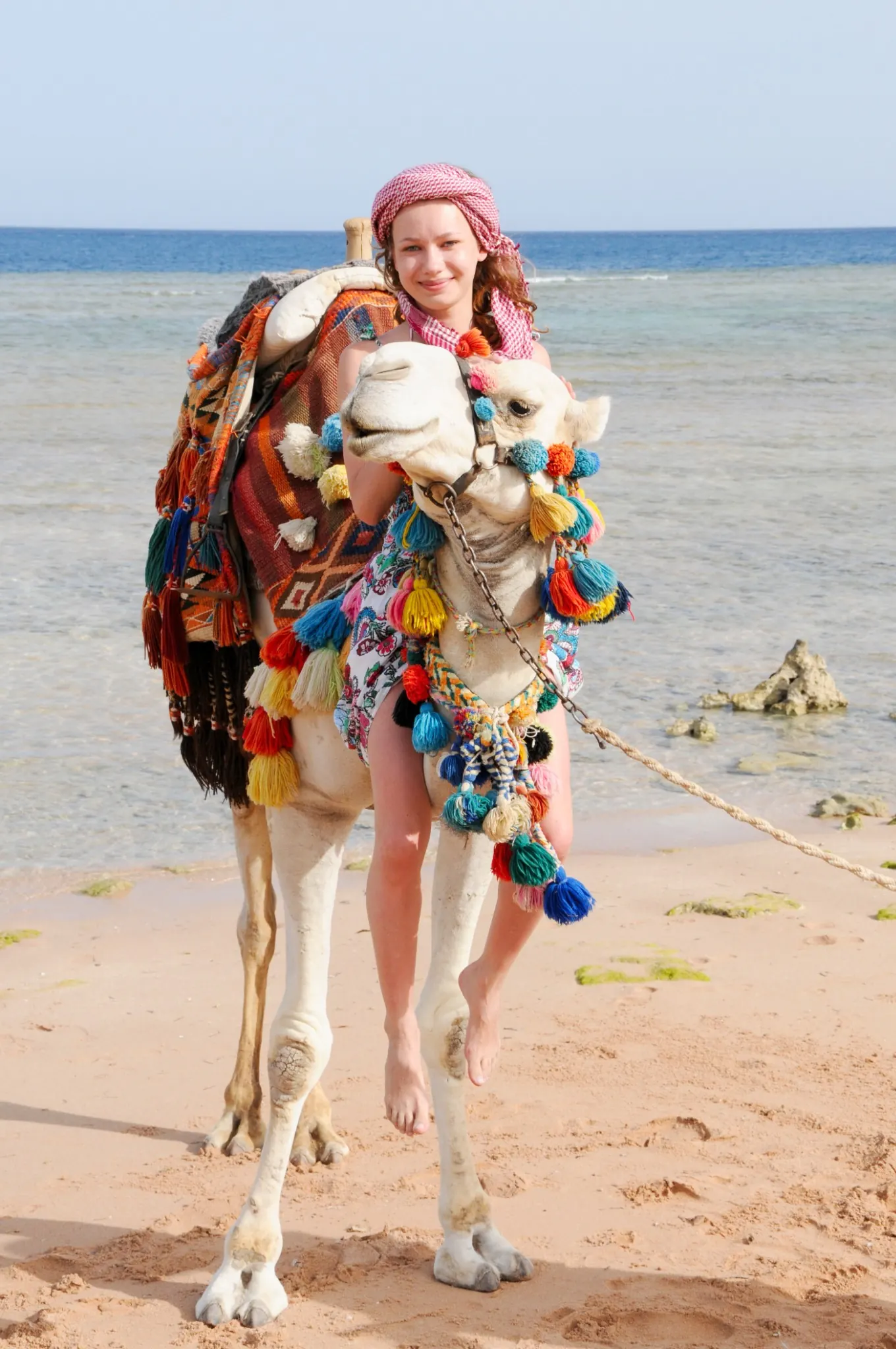 Morocco Camel Tours across vast golden sand dunes