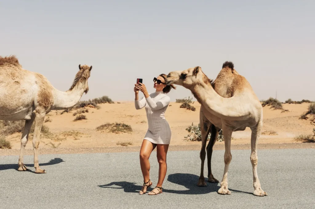 Morocco Custom Tour exploring Atlas Mountains and Berber villages