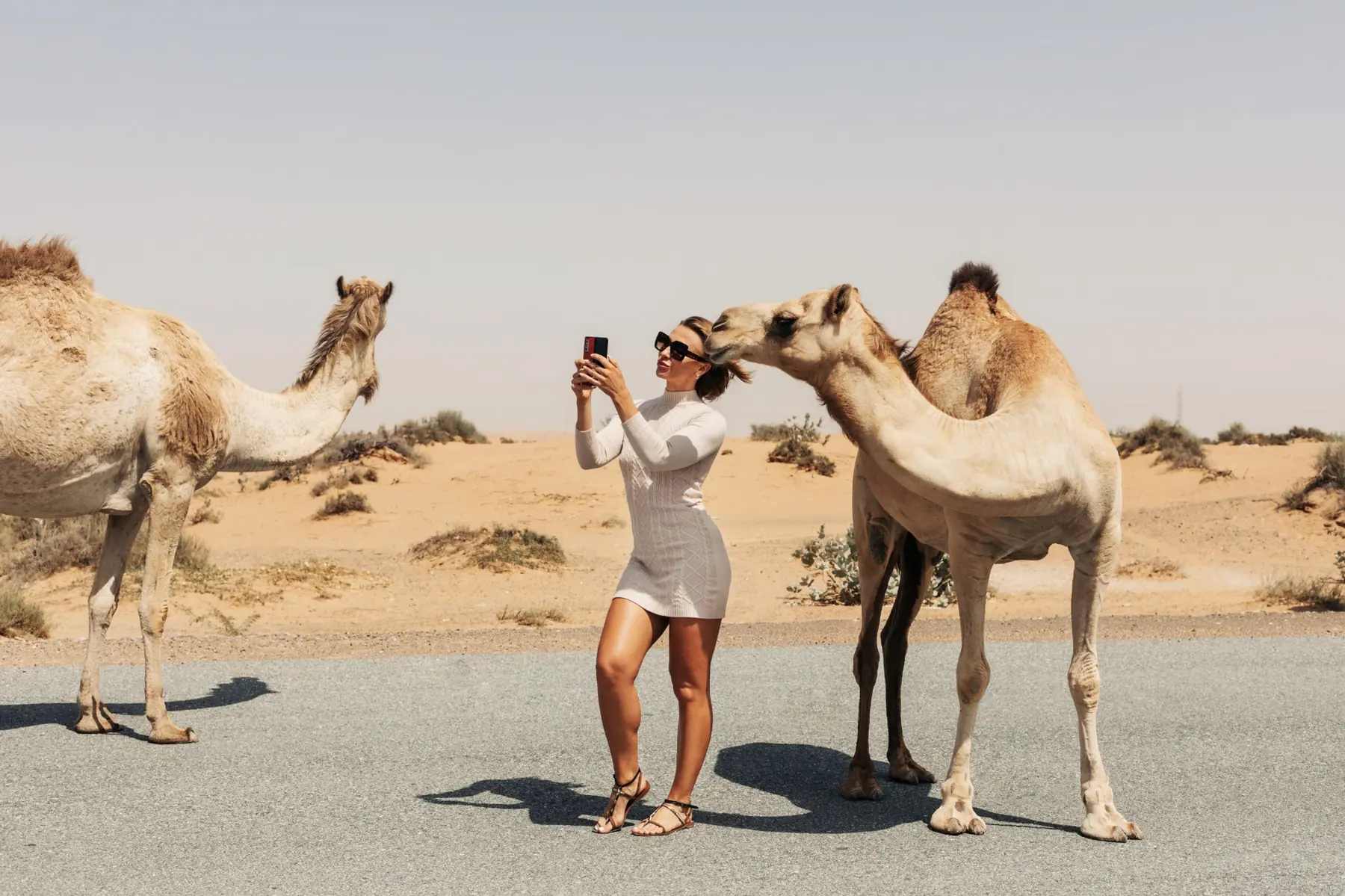 Morocco Custom Tour visiting ancient medinas and traditional markets