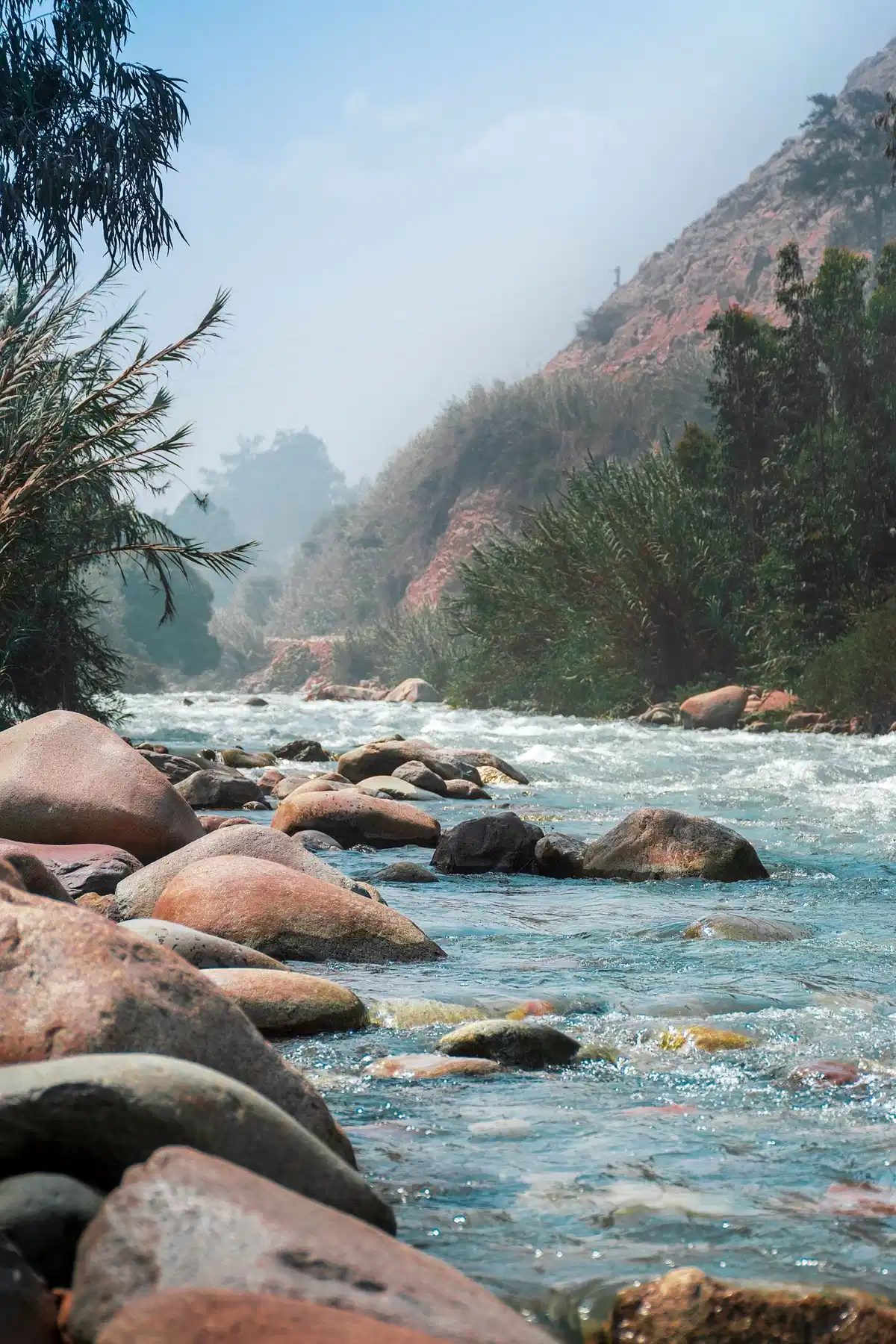 Scenic river winding through apple orchards and green terraced fields in Imlil Atlas Mountains.