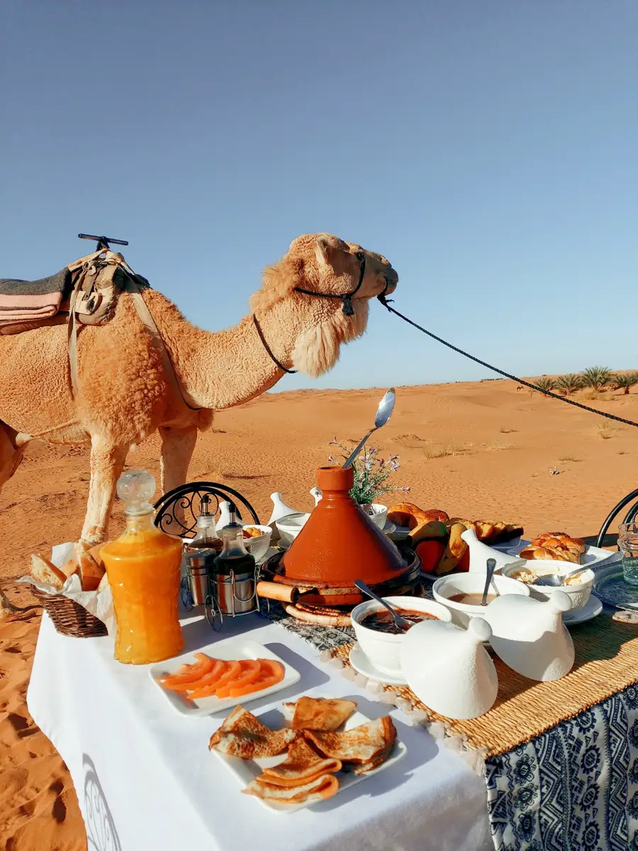 Traditional Moroccan tagine and salads served at a riad