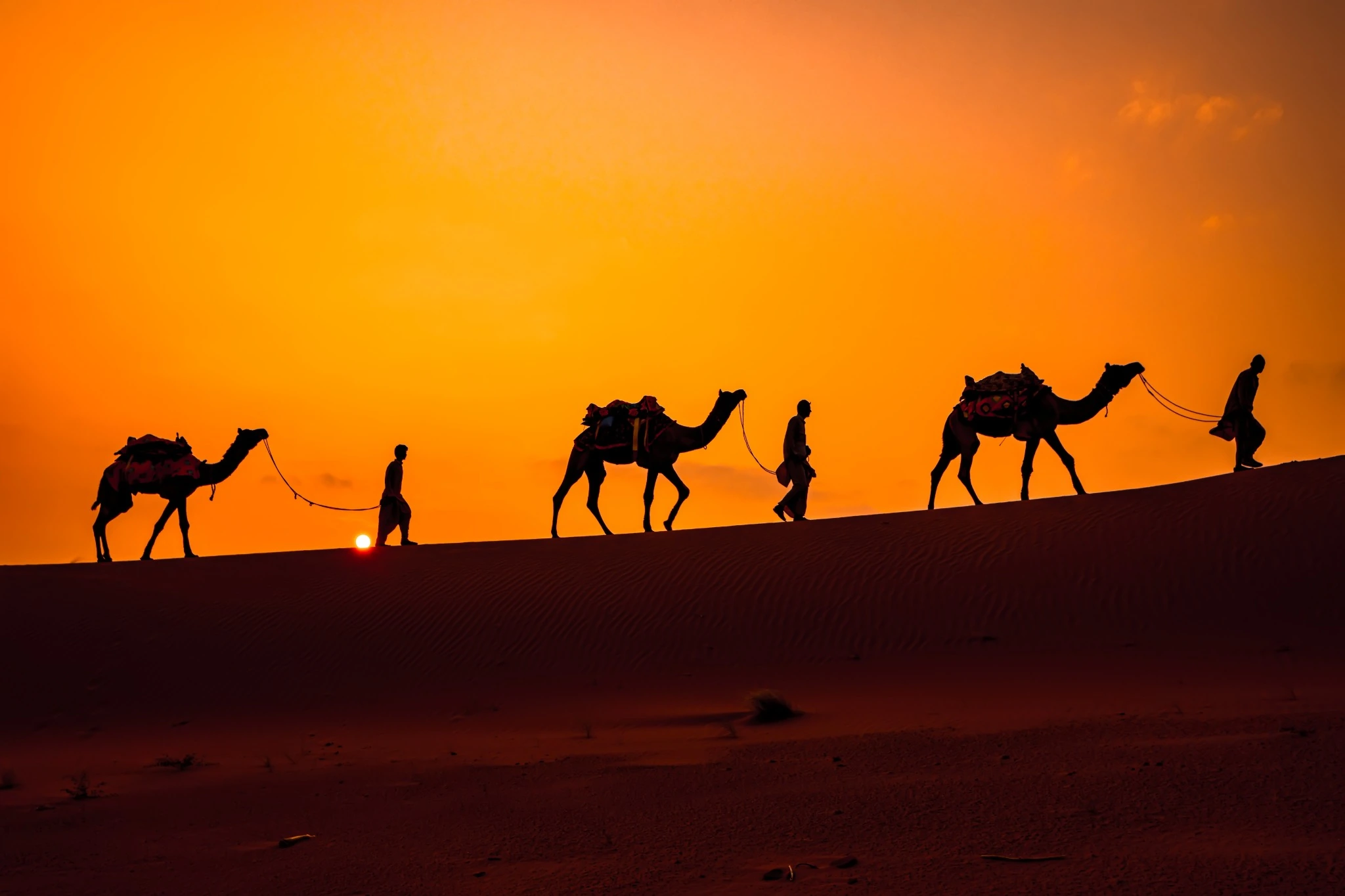 all Morocco tours merzouga desert